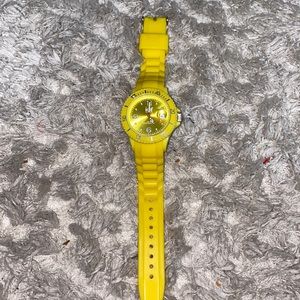ICE WATCH